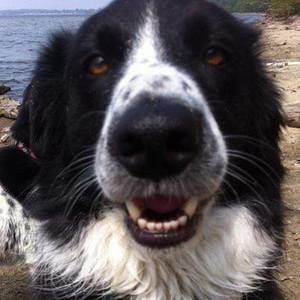 Meet your Posher, Charlene